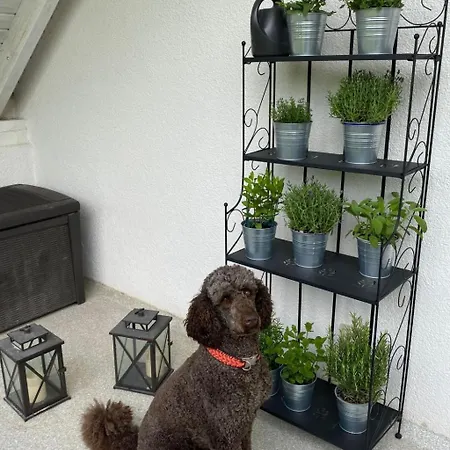 Taunustraum By Interhome *