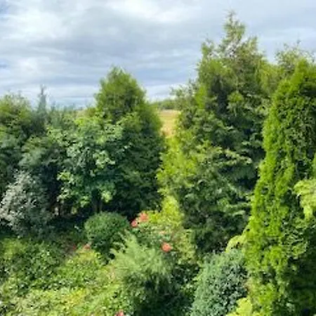 Taunustraum By Interhome *