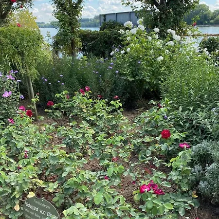 Apartment Taunustraum By Interhome Steckenroth