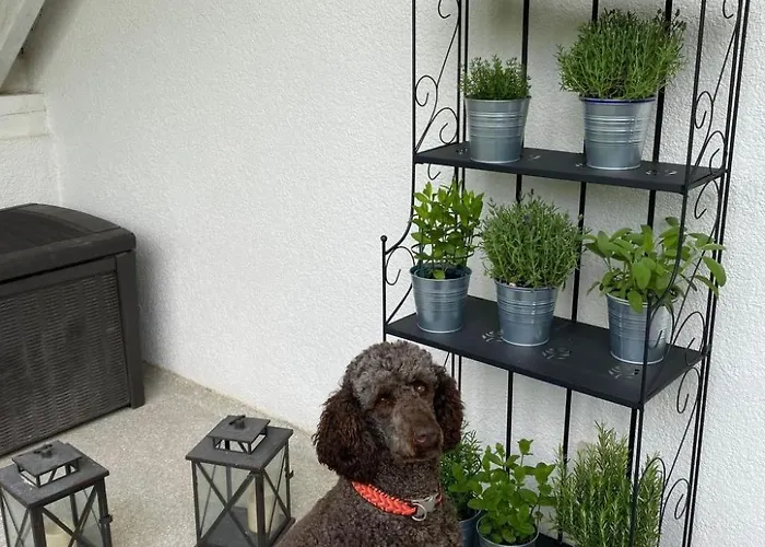 Taunustraum By Interhome *