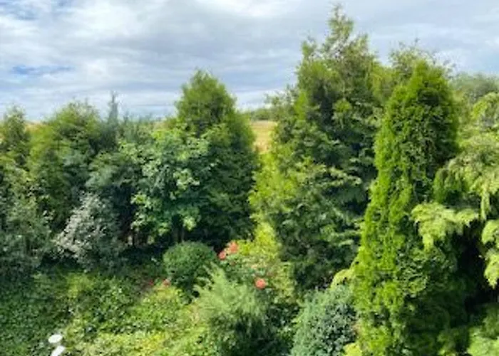 Taunustraum By Interhome *