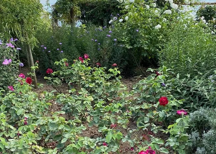 Apartman Taunustraum By Interhome Steckenroth